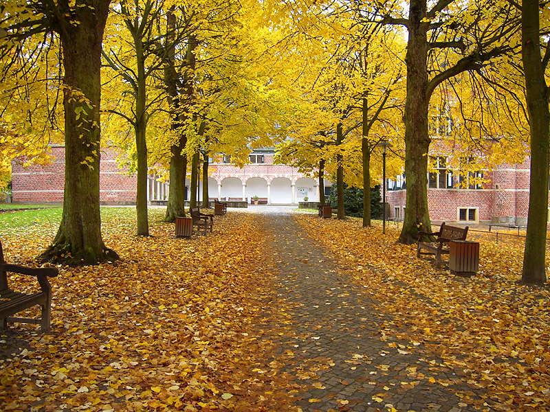 Herbst Bilder - Schloss Reinbek