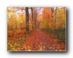 Herbst Bilder - autumn pics