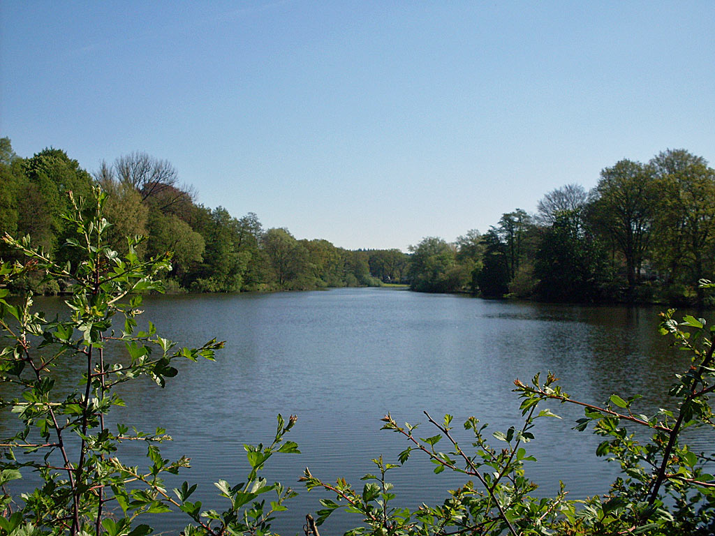 Reinbek-Muehlenteich - Hintergrundbild