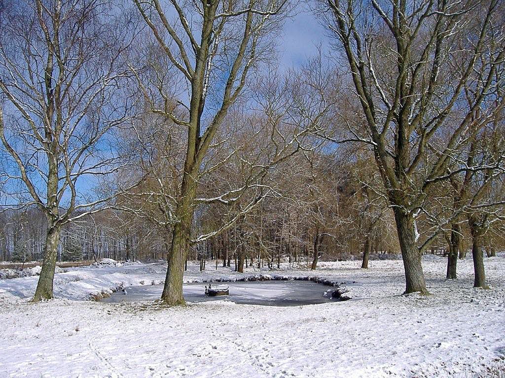 Winter Hintergrundbild