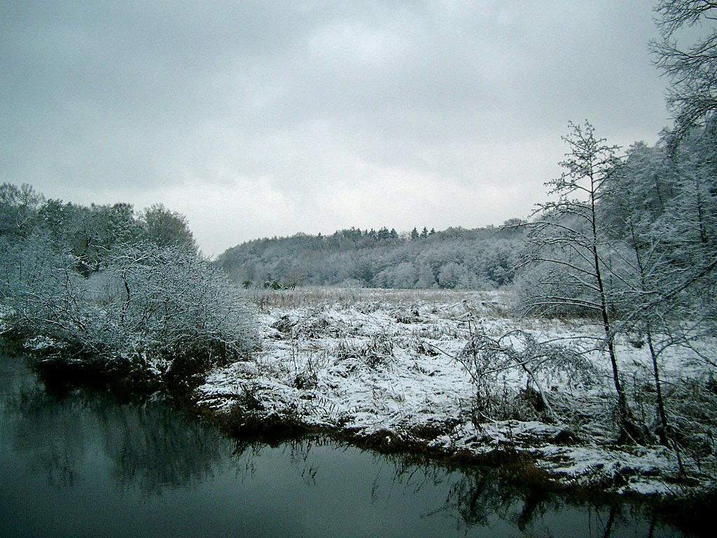 Winterlandschaft - Hintergrundbild