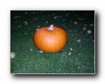 Halloween-Kuerbis