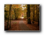 Herbst