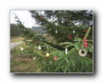 Tannenbaum-Weihnachten