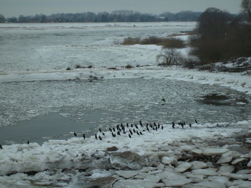 Elbe Hamburg - Winterbilder Hamburg