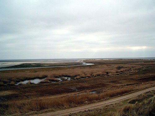 Insel Fanoe in Daenemark