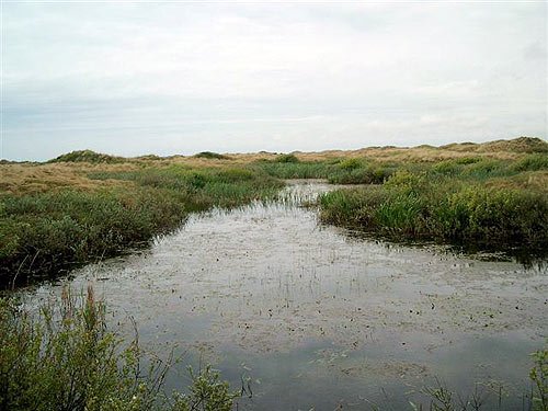 Insel Fanoe in Dänemark