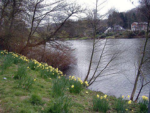 Reinbeker Schlosspark