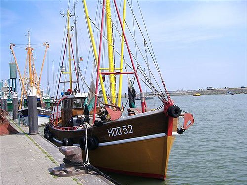 fischkutter-im-hafen.jpg