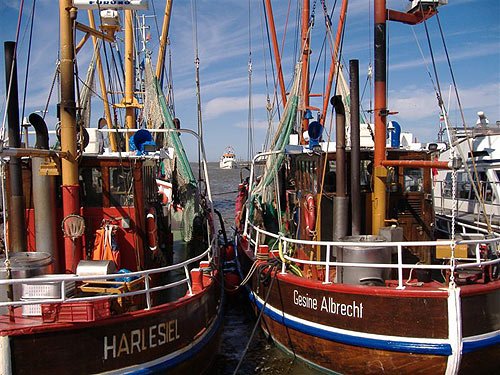 Fischkutter in Harlesiel – Ostfriesland Bilder