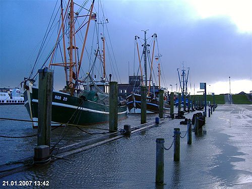 Fischkutter in Harlesiel bei Sturm – Ostfriesland Bilder