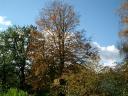 herbst-bilder-1.jpg