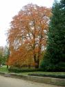 herbst-bilder-10.jpg