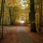 Herbstbilder - Bilder vom Herbst - autumn pics