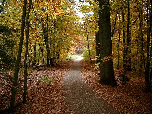 Herbstbilder – Bilder vom Herbst – autumn pics
