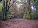 herbst-bilder-7.jpg