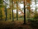 herbst-bilder-8.jpg