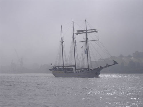 Segelschiff Mare Frisium im Hamburger Hafen