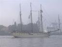 Segelschiff Mare Frisium im Hamburger Hafen