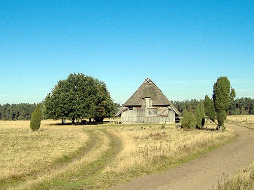 Die Lüneburger Heide