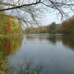 Muehlenteich vor dem Schloss Reinbek