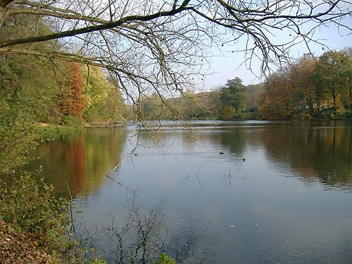 Muehlenteich vor dem Schloss Reinbek