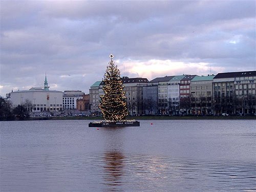 Die Alstertanne – Weihnachtsbaum Hamburg Alster