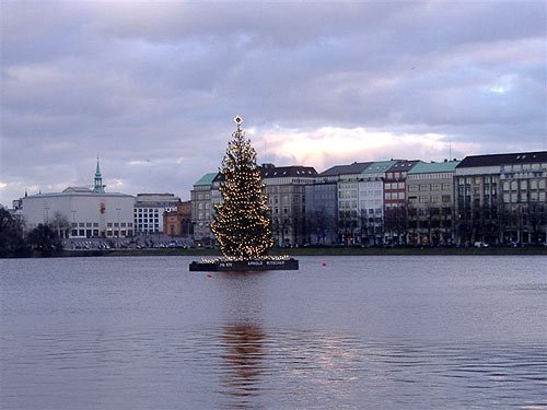 Die Alstertanne - Weihnachtsbaum Hamburg Alster