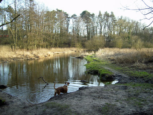 Die Bille in Reinbek