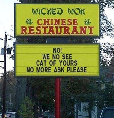 China Restaurant – lustige Katzen – funny cats pics