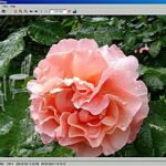 IrfanView - Freeware-Bildbetrachter