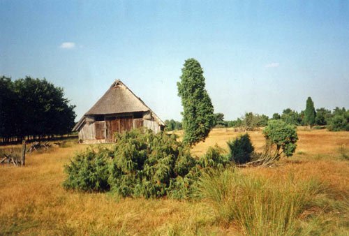 Lueneburger Heide