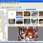 XnView - Freeware Bildbearbeitung - Grafikbetrachter