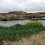 Fanoe - Urlaub in Daenemark