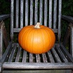Kuerbis - Halloween Pumpkin