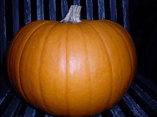 Kuerbis – Halloween Pumpkin