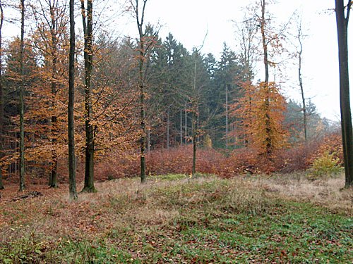 Herbst Bild – Autumn pics