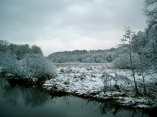 Weisse Weihnachten 2008?