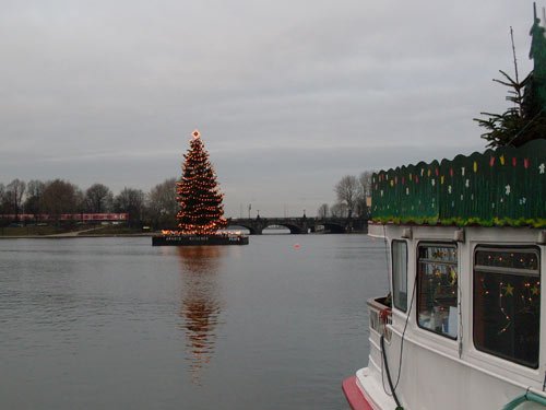 Die Alstertanne 2008 in Hamburg