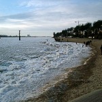 Hamburg - Elbe bei Oevelgoenne