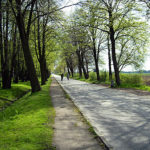 Fruehling - Vierlande Fruehlingsbild