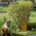 Froehliche Ostern - Happy Easter