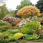 Lea-Gardens-England-1