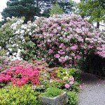 Lea-Gardens-England-2