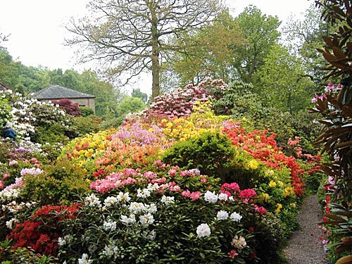 Lea Gardens Rhododendron Garten in England Derbyshire