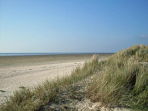 Fanoe Daenemark Strand bei Soenderho