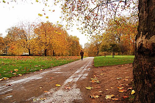 London – Hyde Park im Herbst – Herbstbilder