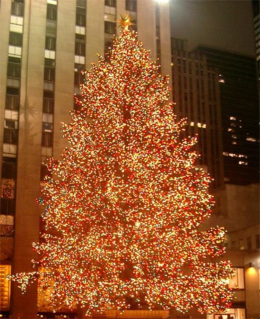 Weihnachtsbaum am Rockefeller-Center in New York