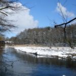 Bille-Wohltorf