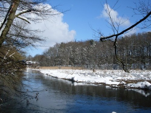 Fluss Bille bei Wohltorf